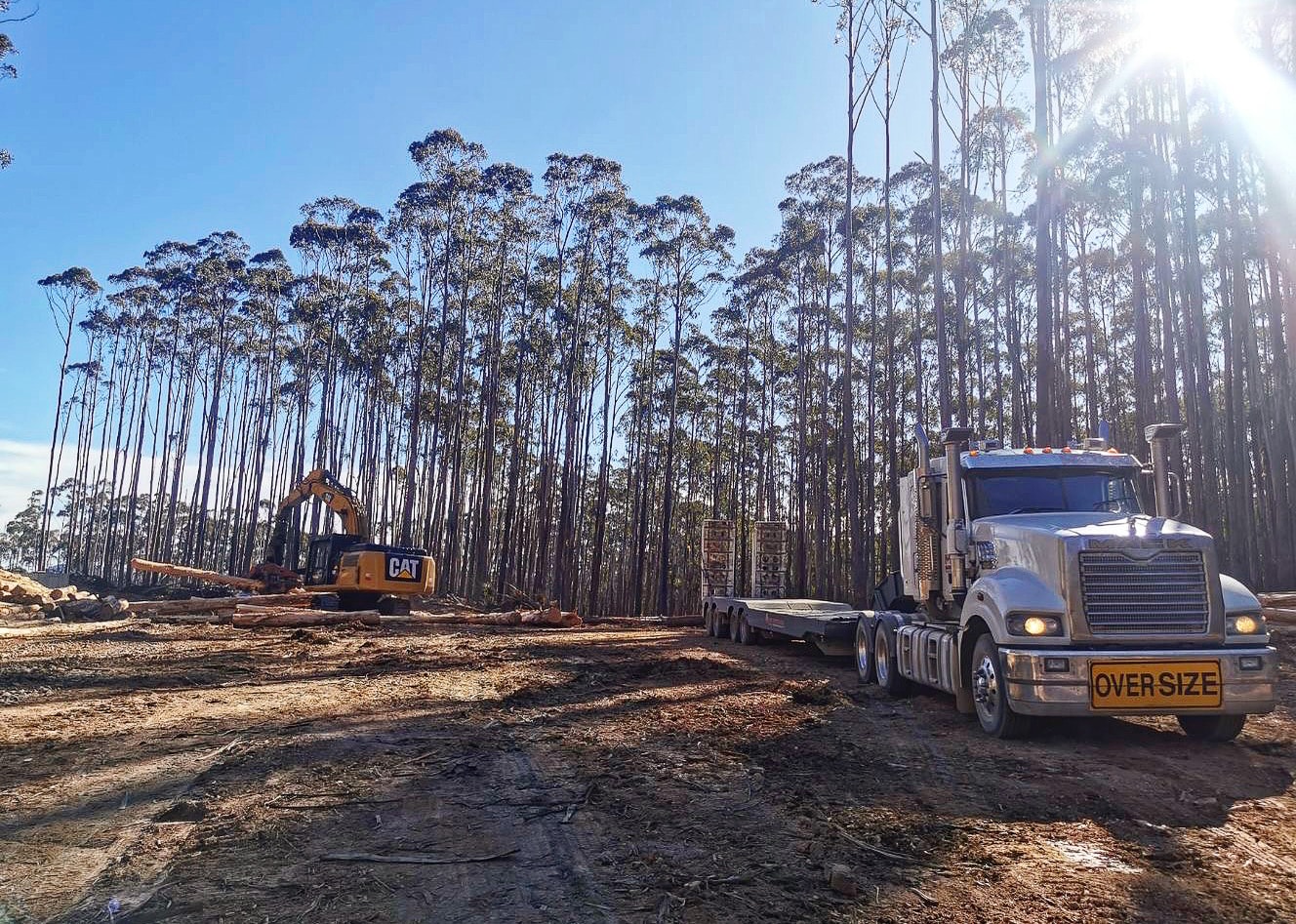 Forestry clearing with excavator and truck