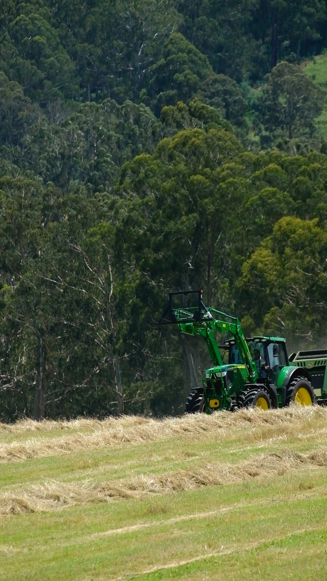 Tractor clearing forest land