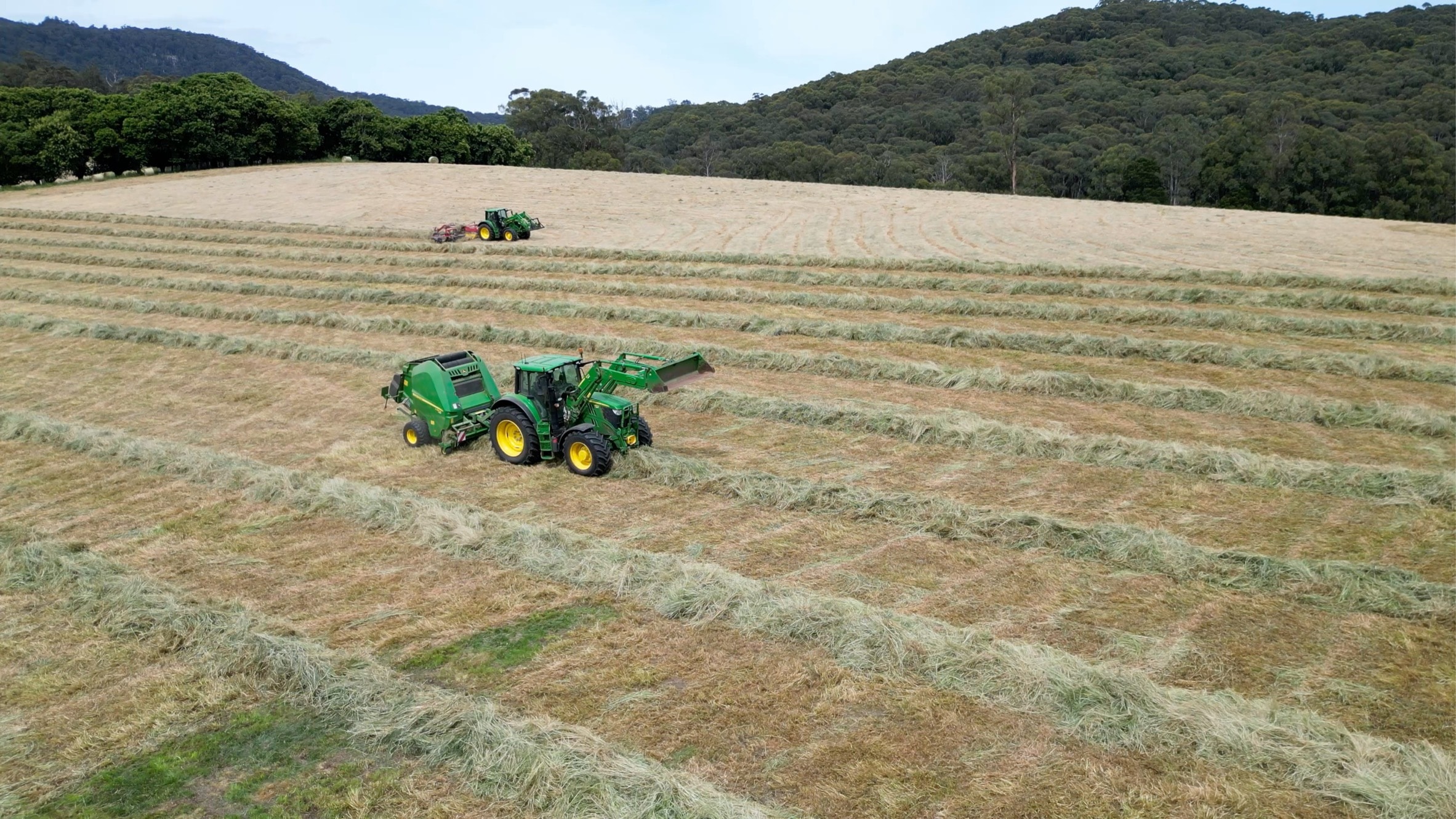 Tractors harvesting hay field