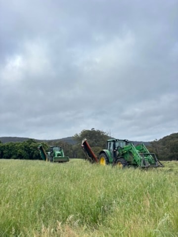 Tractors harvesting grain field